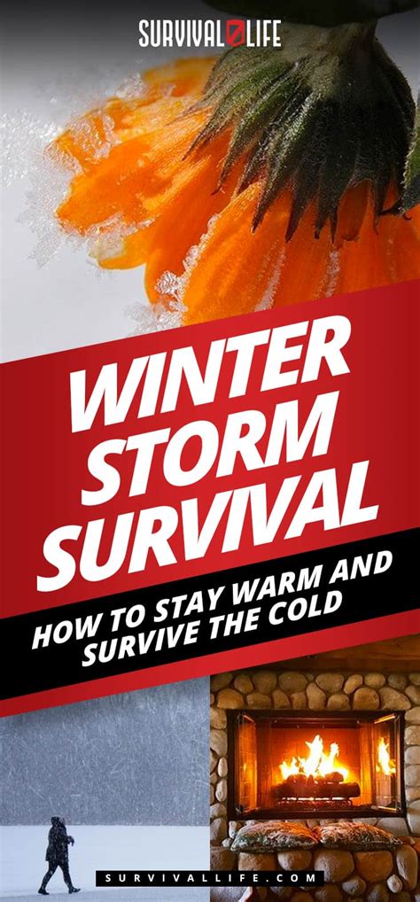 Winter Storm Survival How To Stay Warm And Survive The Cold