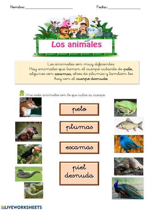 Animales Y Su Habitat Ficha Interactiva Clasificación De Animales