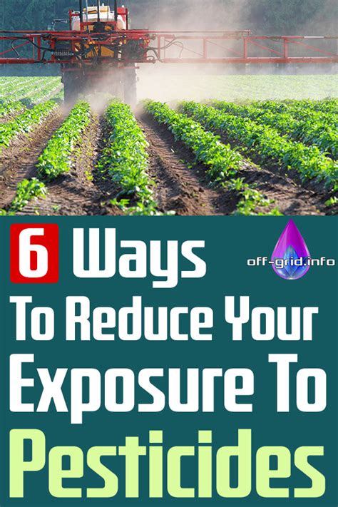 6 Ways To Reduce Your Exposure To Pesticides Off Grid