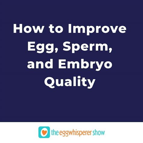 How To Improve Egg Sperm And Embryo Quality