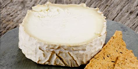 We did not find results for: Bûcheron | Local Cheese From Centre-Loire Valley, France ...
