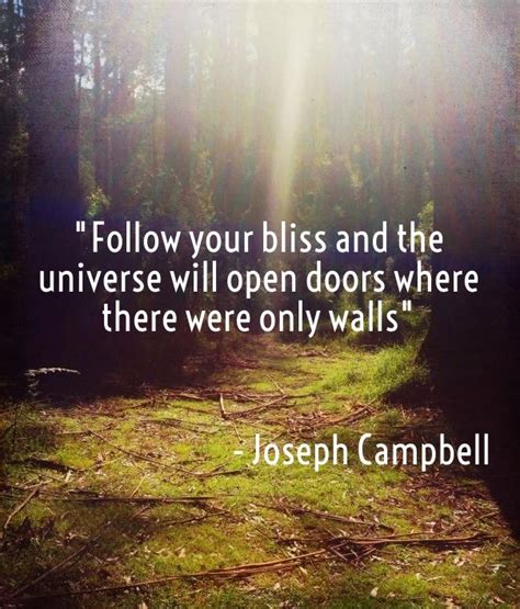 A cause of great joy or happiness. Finding and Following Your Bliss - February 7, 2016 ...