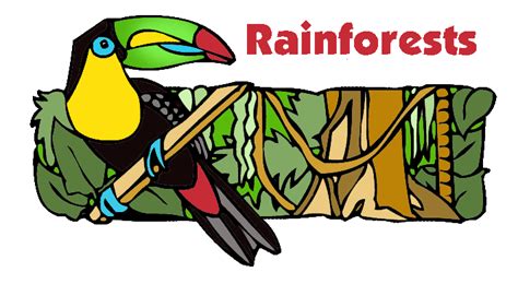 Rainforest Rain Forest Clipart Wikiclipart
