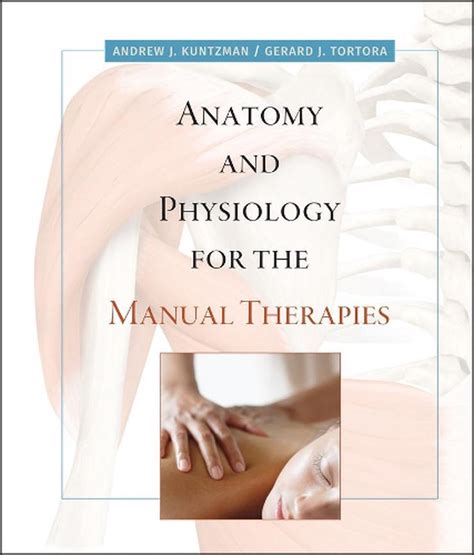 Anatomy And Physiology For The Manual Therapies 1st Edition By Andrew J Kuntzman Hardcover