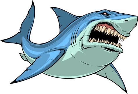 shark illustrations royalty free vector graphics and clip art istock
