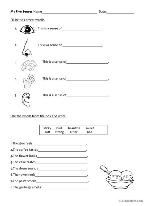 Senses Worksheet For Kids подборка фото для бесплатного просмотра