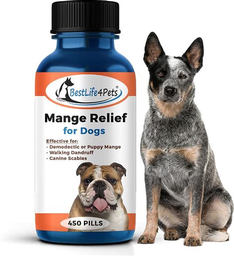 Demodectic Mange Relief For Dogs All Natural Ubuy Botswana