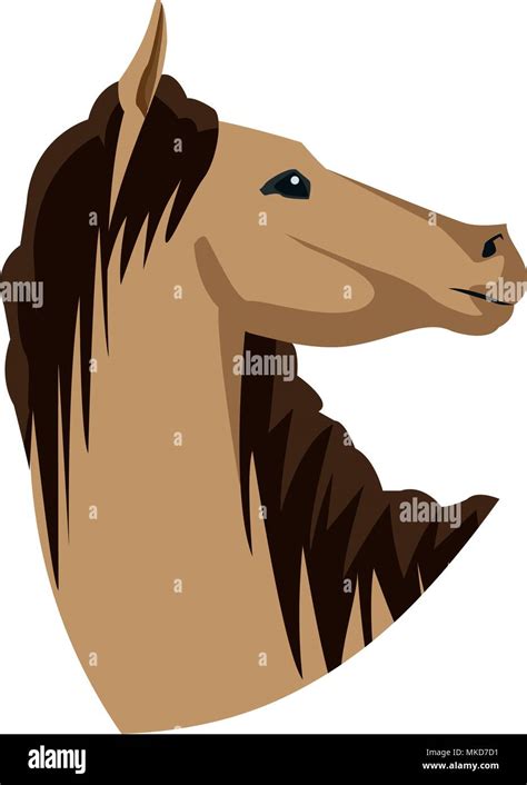 Horse Head Cartoon Stock Vector Image And Art Alamy