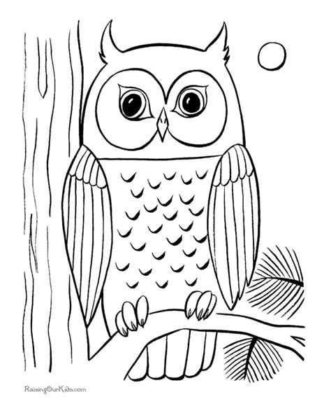 This drawing of a cute baby owl is a great project for preschool, kindergarten, and 1st grade! Coloring Page Owl - Coloring Home