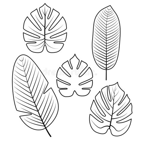 Tropical Leaves Collection. Vector Illustration. Stock Vector