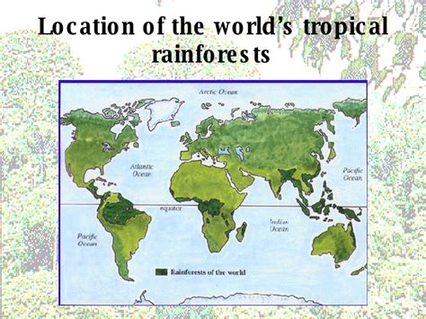 Deforestation Of The Tropical Rainforests