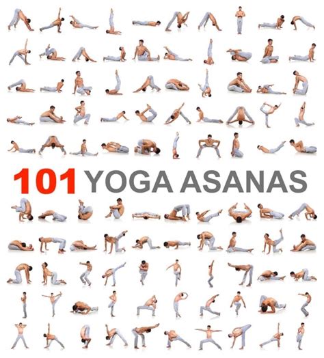 Yoga Asanas Chart With Name Yoga Poses