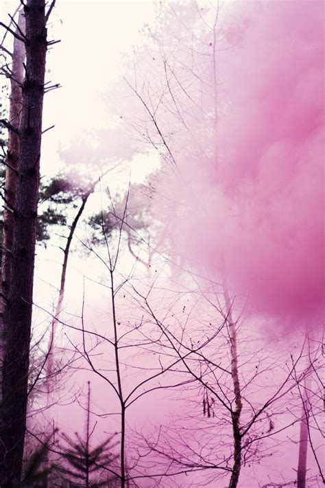 Check spelling or type a new query. red smoke 01 | Pink smoke, Pink nature, Colored smoke