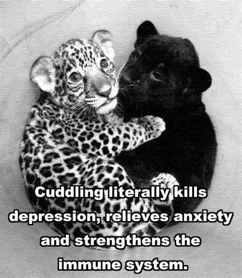 So True With Images Cute Animals Animals Baby Leopard