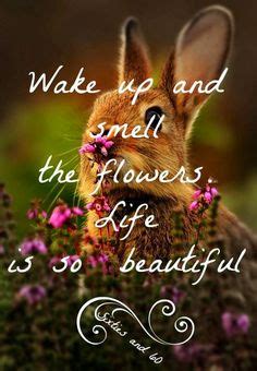 You may as well smell the flowers quotes › twelve monkeys. "Where flowers bloom, so does hope." - Lady Bird Johnson | inspired quotes + sayings | Pinterest ...