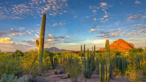 Landscape Nature Desert Cactus Mountain Arizona Wallpapers Hd