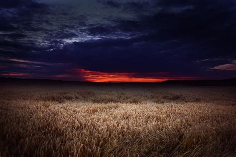 Dark Field Covered By Clouds Sunset 5k Hd Nature 4k Wallpapers
