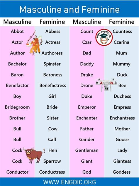 Examples Of Masculine And Feminine Gender List Engdic In