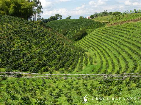 Please visit our website for locations and hours: Coffee Farm Colombia Travel Photo | Gregg Bleakney Visual ...