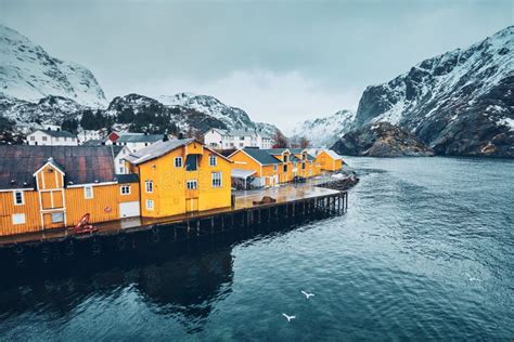 Nusfjord Fishing Village In Norway Stock Photo Image Of Travel