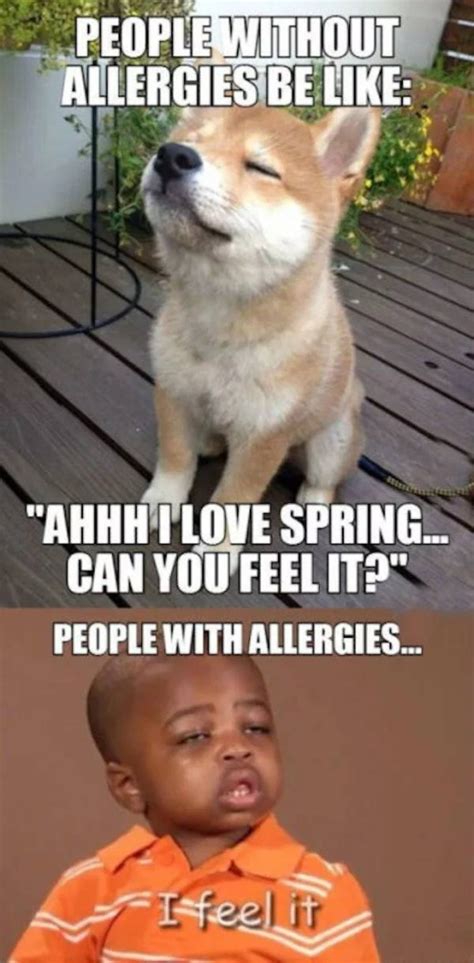 Spring Is Coming Memes 26 Pics