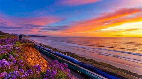 Train Between California Coast Pacific Ocean And Flowers During Sunset