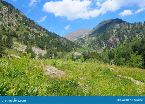Mountains Meadows And Blue Sky Stock Image Image Of Grass