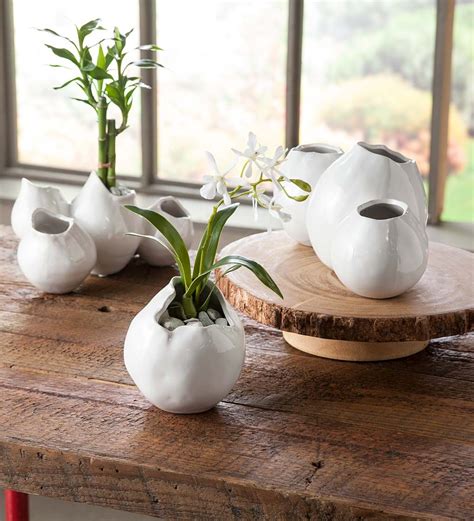 Picked From Vivaterra Simple Yet Elegant These Striking Bud Vases