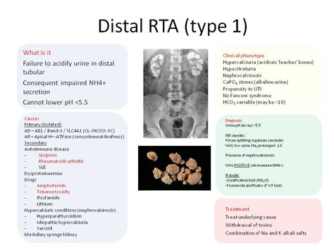 Distal Renal Tubular Acidosis RTA Type Totally GrepMed