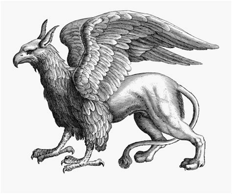 Griffin Gryphon Line Art Mythological Mythical Griffin Mythical