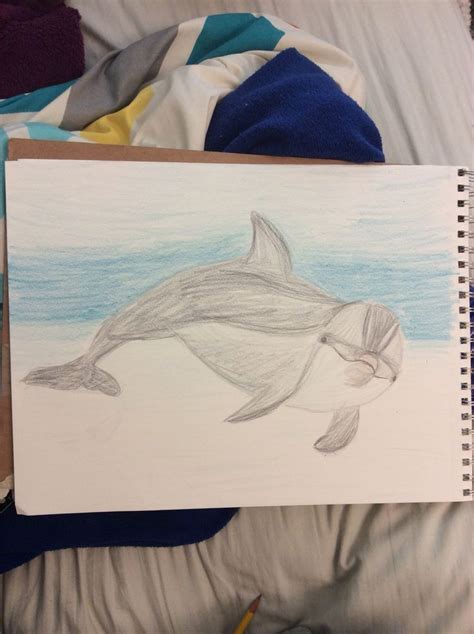 Day 143 A Colored Pencil Drawing Of A Dolphin 365daychallenge