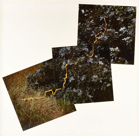 Lot Andy Goldsworthy British B 1956 A Photo Collage Petals 1992