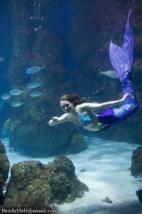 See 4,270 traveler reviews, 1,813 candid photos, and great deals for dream downtown, ranked #241 of 521 hotels in new york city and rated 4.5 of 5 at tripadvisor. Mystic Mermaids at Denver's Downtown Aquarium (With images ...