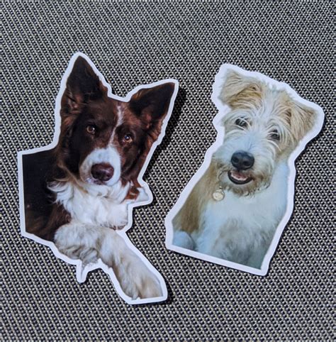 Personalised Vinyl Pet Sticker Waterproof Sticker Custom Pet Etsy