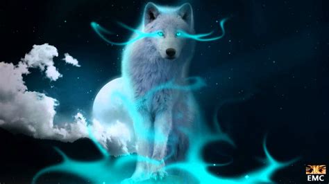 Blue Fire Wolf Wallpapers Top Free Blue Fire Wolf