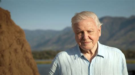 David Attenborough A Life On Our Planet Wallpapers Wallpaper Cave