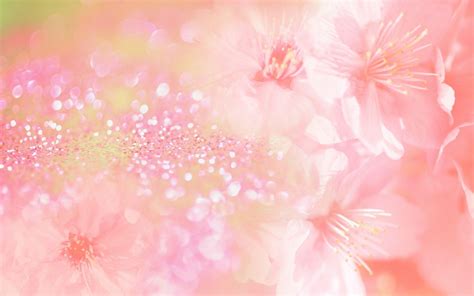 Pink Flower Backgrounds Wallpaper Cave