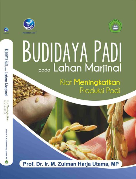 Budidaya Tanaman Padi Presentasi Infografis Latihan