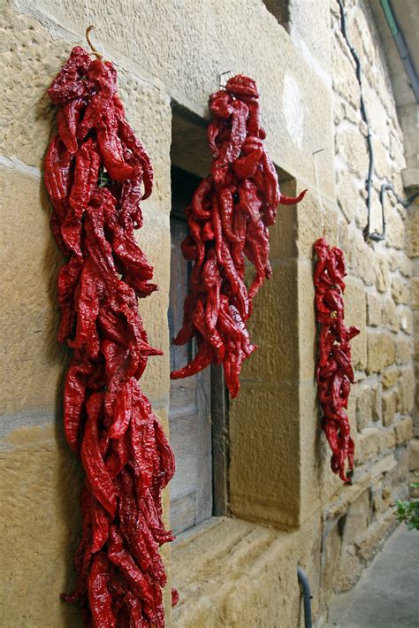 Find vacation packages to pimento on tripadvisor by comparing prices and reading pimento hotel reviews. Pimiento choricero - Wikipedia, la enciclopedia libre