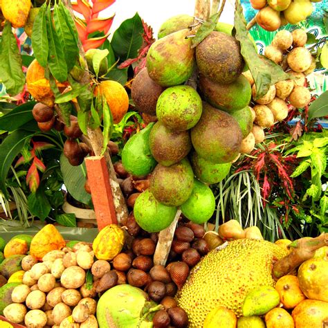 Tropical fruit farm, jalan teluk bahang, batu ferringhi, penang island 11050 malaysia welcome to the tropical fruit farm. Tropical Fruit Farm in Penang - Attraction in Penang ...