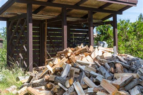 Firewood Harvested For Heating In Winter A Pile Of Firewood In The