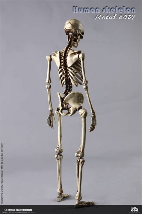 Figurine 16 Human Skeleton Machinegunfr