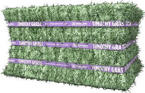 Premium Timothy Compressed Bale Standlee Premium Forage