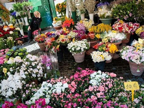 Outdoor Flower Markets -- National Geographic