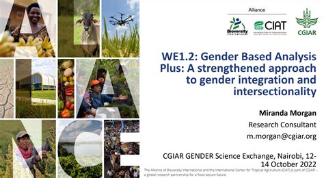 We1 2 Gender Based Analysis Plus A Strengthened Approach To Gender Integration And