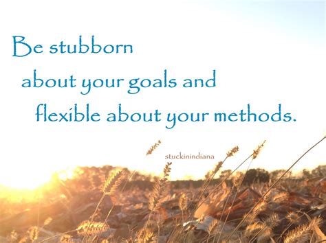 Be Stubborn About Your Goals And Flexible About Your Methods