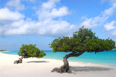 Aruba Vacation Packages With Airfare Liberty Travel