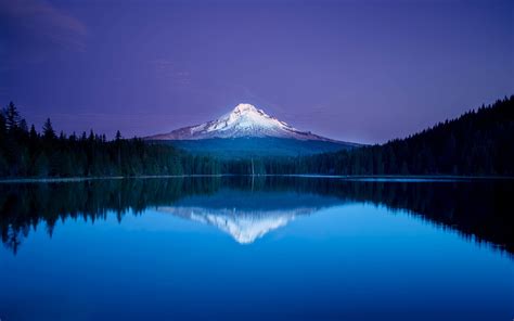 Blue Mountain Lake Reflection Forest Oregon Wallpapers Hd