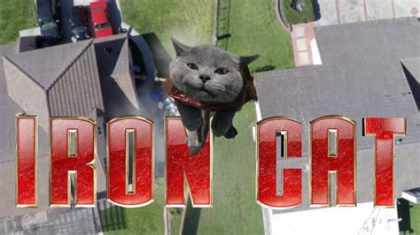 Iron Cat Dravens Tales From The Crypt