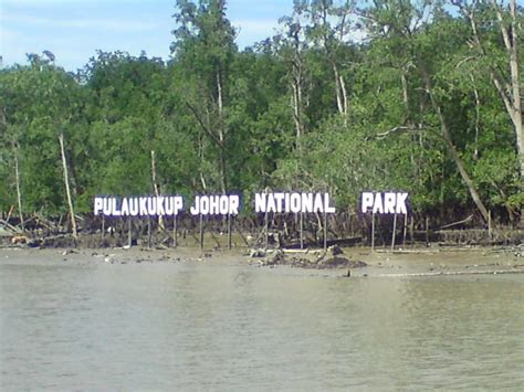 Bagaimana sudut pandang tinjauan hukum memandang kerusakan alam di indonesia? Taman Negara Pulau Kukup | Portal Rasmi Majlis Daerah ...